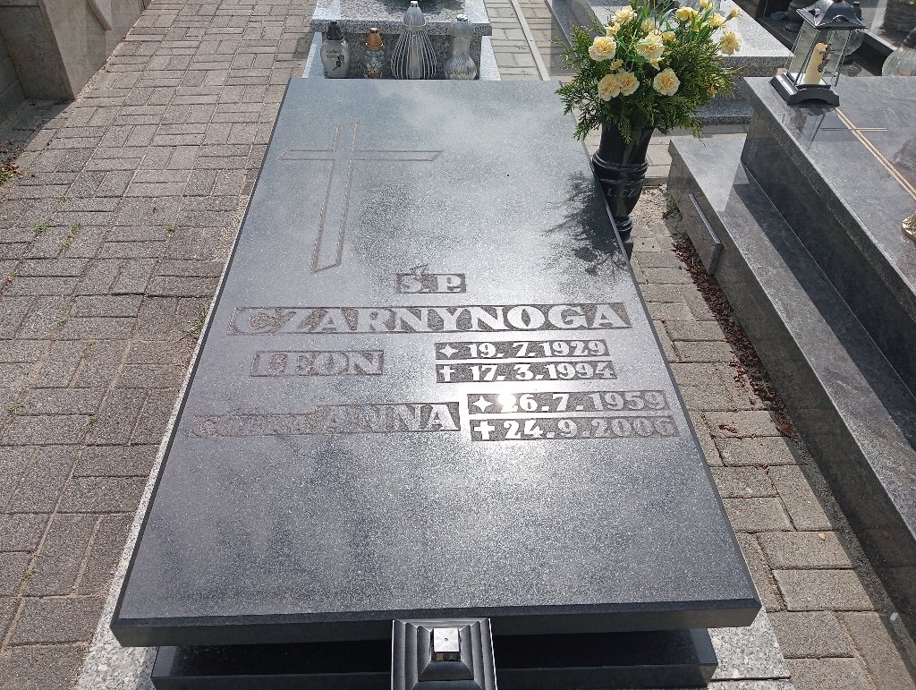 Grób Leon Czarnynoga